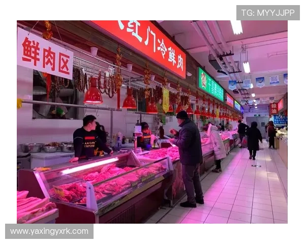 亚星娱乐网站app最新动态与版本更新内容，掌握平台最新功能与优惠信息