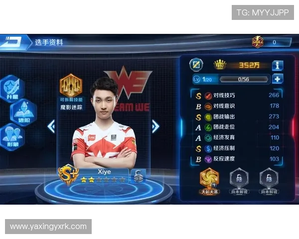 亚星官网平台入口常见问题及详细解决方法全攻略